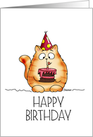 Funny Happy Birthday Cat with Birthday Cake card