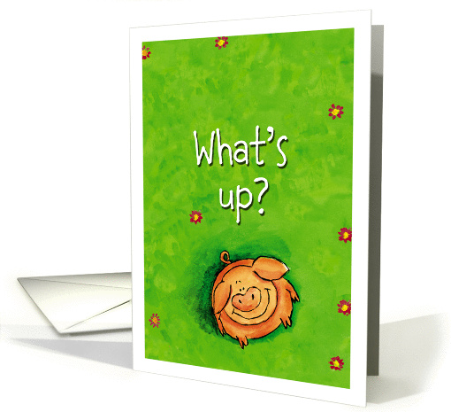 What's up? Cute whimsical pig is looking up to ask what's up. card