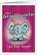Happy Birthday Granddaughter Elephant - I did knot forget! card