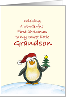 First Christmas for Grandson- Cute Christmas Card with Penguin card