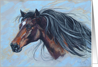 Horse With Flowing Mane On Blue card