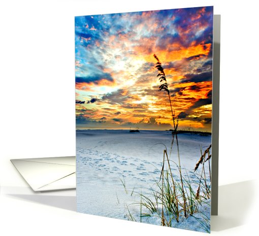 Sea Oats before Fire Red Florida Beach Sunset card (646455)