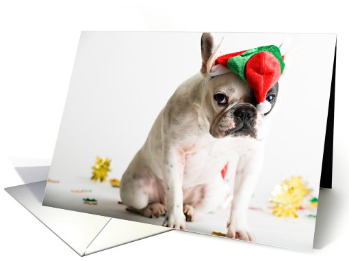 French Bulldog Humor, Christmas card (647372)
