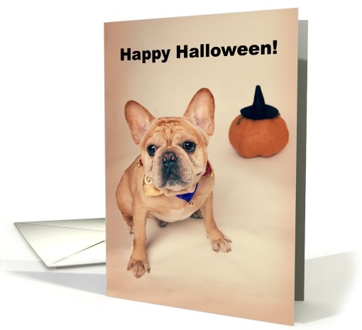 Fawn Colored French Bulldog Halloween card (698036)