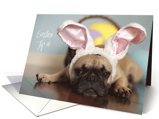 French Bulldog Easter card (794395)