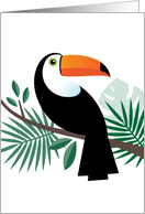 Toucan blank any occasion card