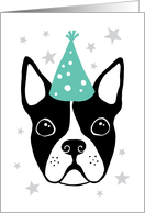 Boston terrier with party hat, happy birthday card