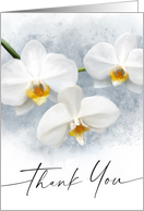 White orchid flower painting thank you card