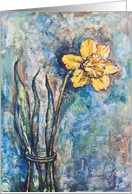 Daffodil Blank Card