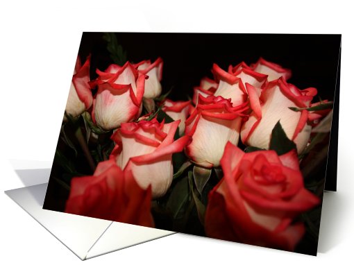 Fire and Ice Roses card (654384)