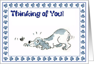Thinking of you - cute spaniel dog card