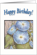 Morning Glory Birthday Wishes card
