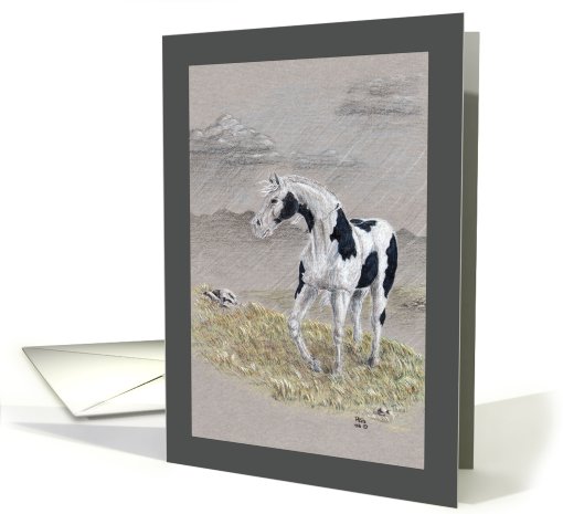 Encouragement, Stormy Day - pinto horse illustration card (668939)