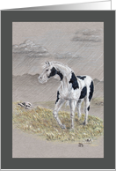 Encouragement, Stormy Day - pinto horse illustration card
