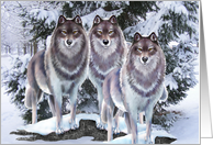 Wolves In Winter, Blank Card