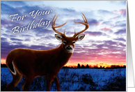 Whitetail Sunrise Birthday card