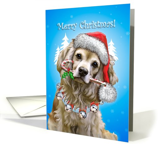 Merry Christmas- Cocker Spaniel - blank card (674185)