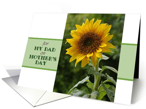 Mother's Day, for Dad, superb Sunflower card (1044625)