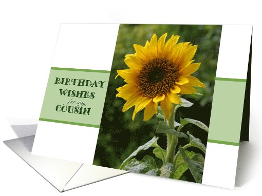 Birthday wishes, for Cousin, superb Sunflower card (1044633)