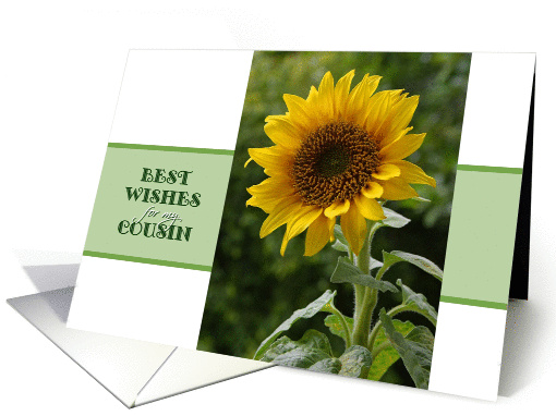 Get Well, for Cousin, superb Sunflower card (1071359)