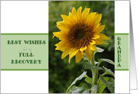 Best Wishes for a Full Recovery, for Grandpa, superb sunflower card