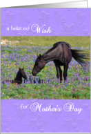 Mother’s Day card Belated - Mustang Mare and Foal card