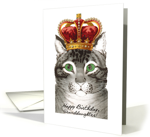 Birthday for Granddaughter, Cat wears Fancy Crown, Like Royalty card