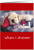Dreaming Puppy Friendship Valentine’s Day Poem card