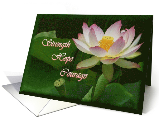 Hope for Someone with Cancer beautiful Water Lily card (673130)