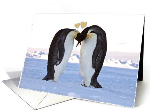 Valentine's Day, two penquins card (727767)
