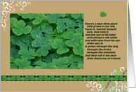St. Patrick’s Day, clover, Irish saying card