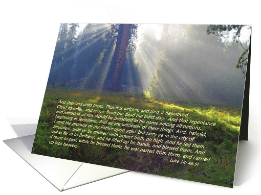 Happy Easter from Both of Us Religious Verse Forest Sunbeams card