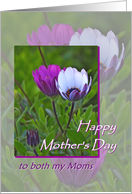 Happy Mother’s Day, for both moms, flowers card