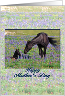 Happy Mother’s Day, mare with foal, poem card