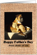 Father’s Day from Both - Boxer cuddling with Cat card