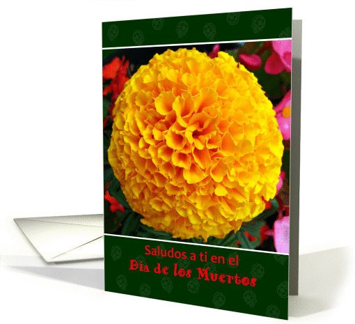 Dia de los Muertos 'Greetings' in Spanish, Marigold flower card