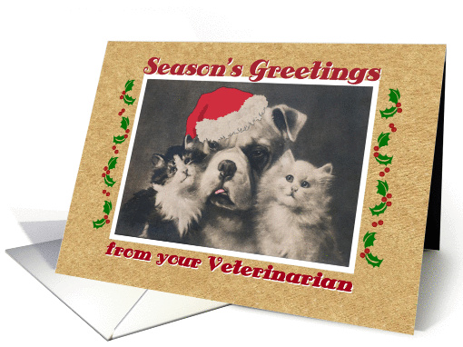 Season's Greetings, from Vet, dog and cats card (869324)
