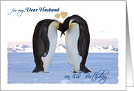 Birthday, for Husband, two penguins card