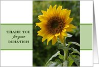 Thank You for Donation, superb Sunflower card