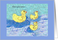 Miss you sister, 3 ducks in the water card
