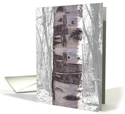 Great Birch Tree And Forest, Invitation card (942357)