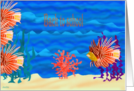 Back to school, Lion fish card