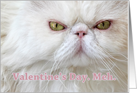 Anti-Valentine’s Angry White Persian Cat Valentine’s Day Meh card