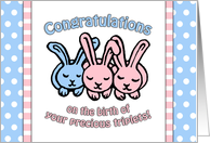 Congratulations on the Birth of Your Triplets Cute Bunny Illustration card