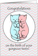 Congratulations on the Birth of Your Twins with Cute Sleepy Kittens card