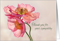 Thank You for Your Sympathy with Beautiful Pink Poppies on Cream card