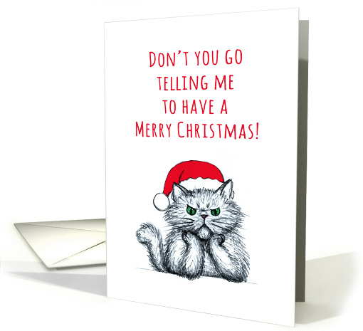 Missing you at Christmas, cross cat sketch illustration, humor card