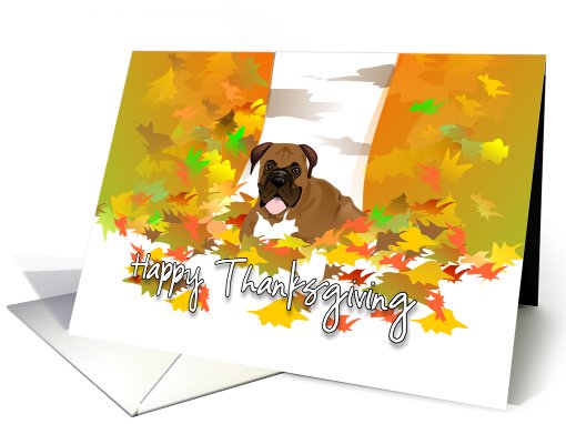 Happy Thanksgiving - Boxer Dog card (690005)