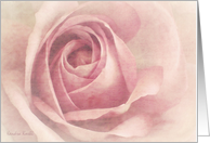Pink Rose -June Birthday/ Rose Birth Flower - Happy Birthday Card
