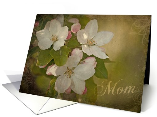 Apple Blossoms -Mom - Mother's Day card (763997)